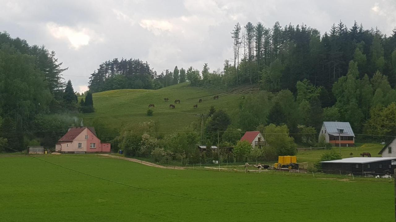 Przystanek Patulskie Pierszczewo Luaran gambar