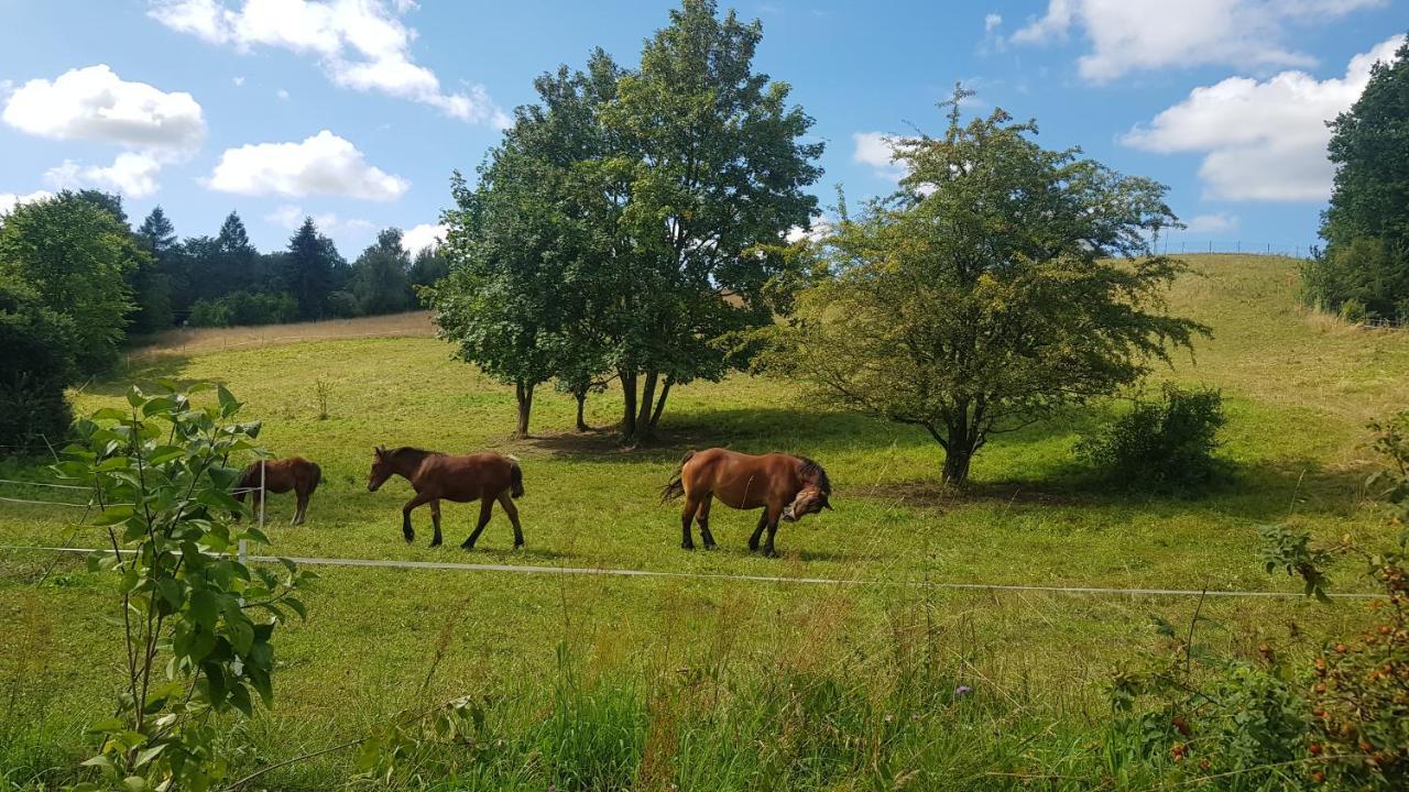 Przystanek Patulskie Pierszczewo Luaran gambar